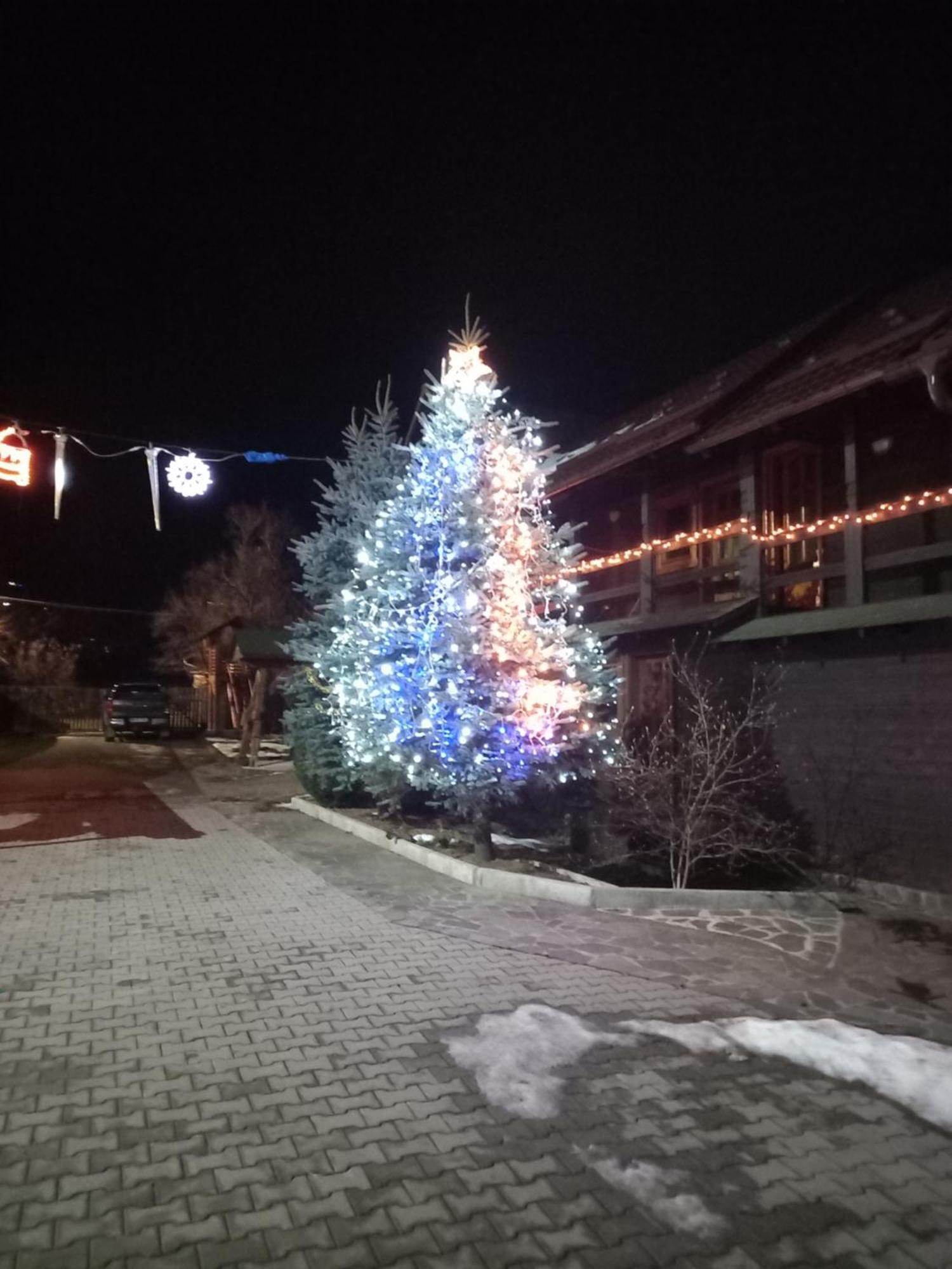 Pensiunea Poiana Borşa 외부 사진